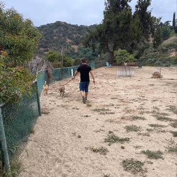 Laurel Canyon Dog Park